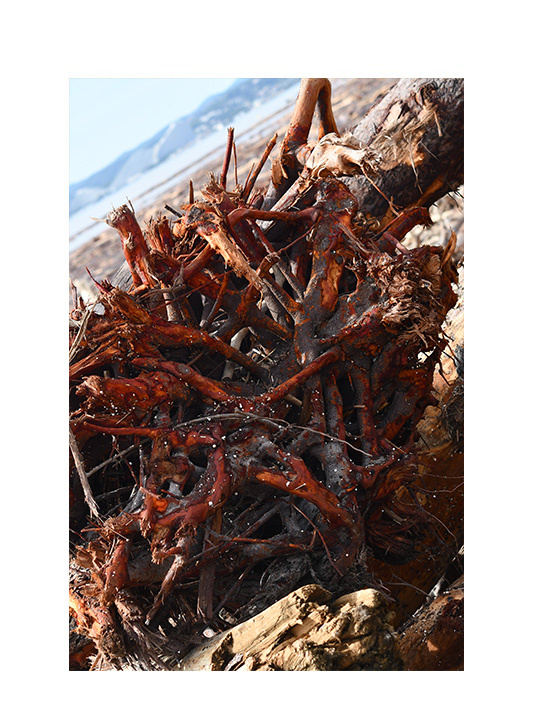 Tatjana Sonjov - Photo Série Ma-trist-ère - 2020