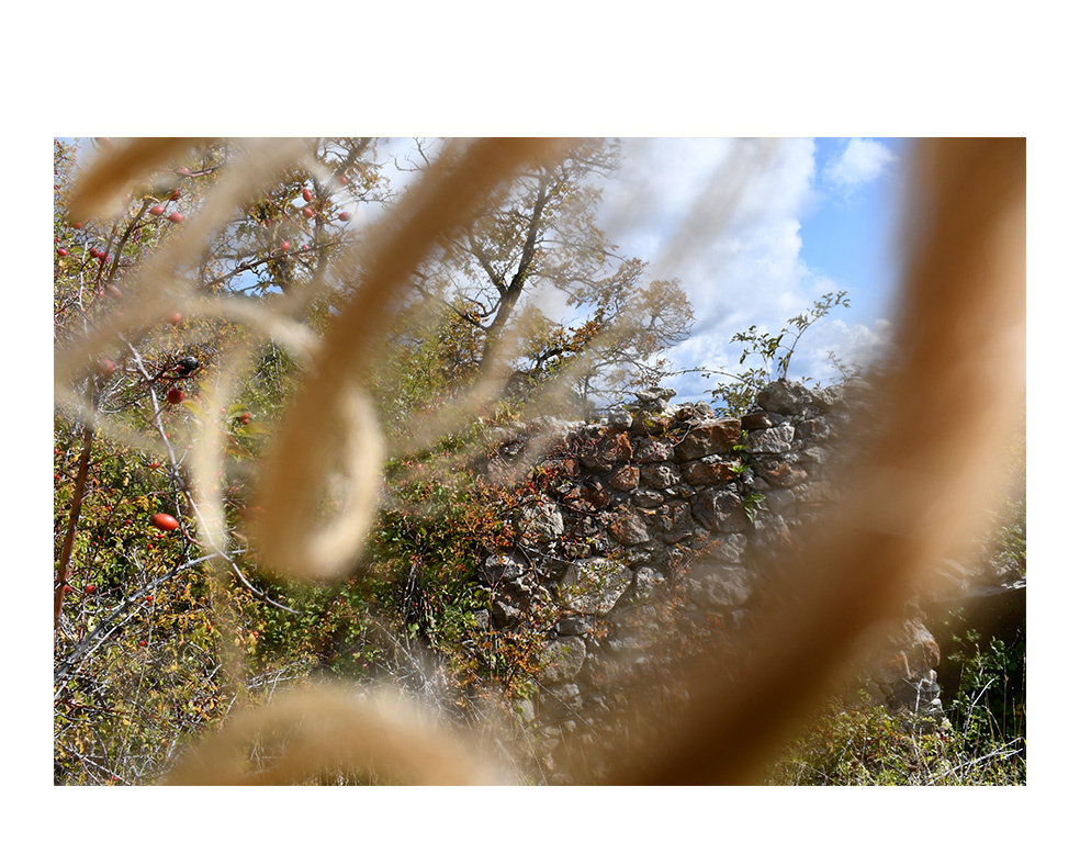 Tatjana Sonjov - Photo Série Murs murs peaux - 2021