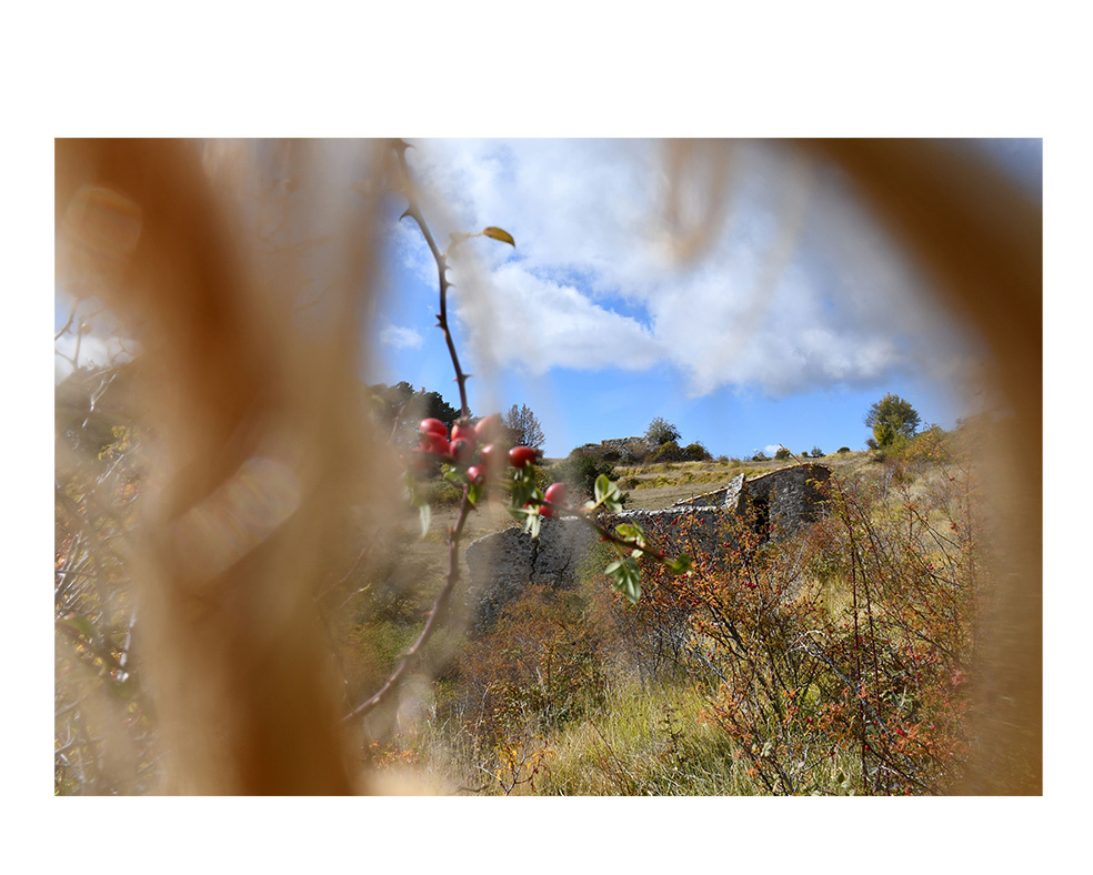 Tatjana Sonjov - Photo Série Murs murs peaux - 2021