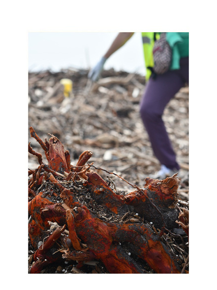 Tatjana Sonjov - Photo Série Ma-trist-ère - 2020