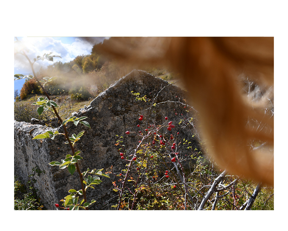 Tatjana Sonjov - Photo Série Murs murs peaux - 2021